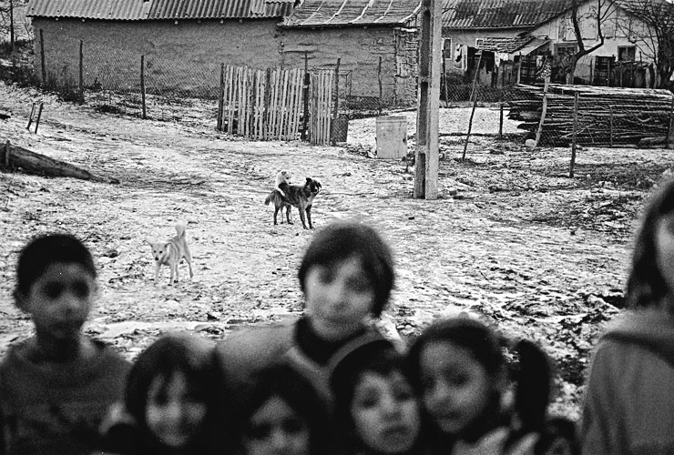Andu Simion Photography presents BROTHERS IN ARMS - analog and digital photos