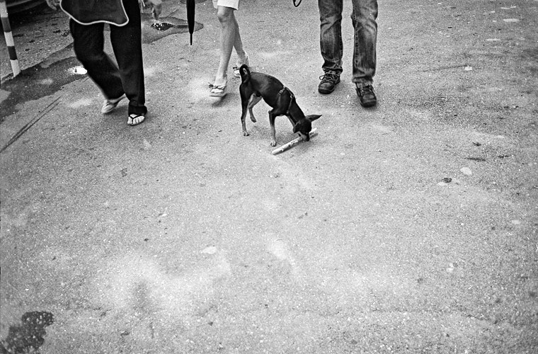 Andu Simion Photography presents LA GAZETTE DE PLOIESTI series - analog and digital photos