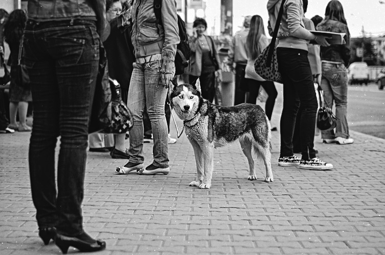 Andu Simion Photography presents LA GAZETTE DE PLOIESTI series - analog and digital photos
