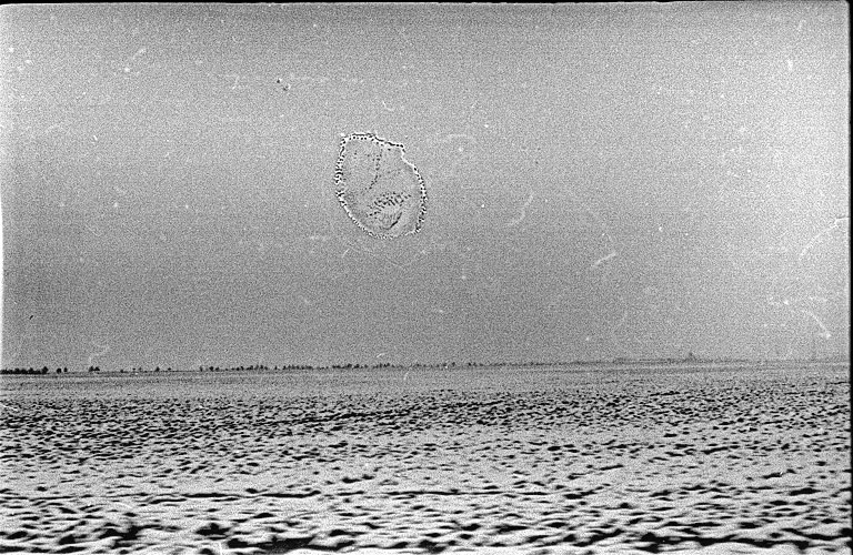 Andu Simion Photography presents LA GAZETTE DE PLOIESTI series - analog and digital photos