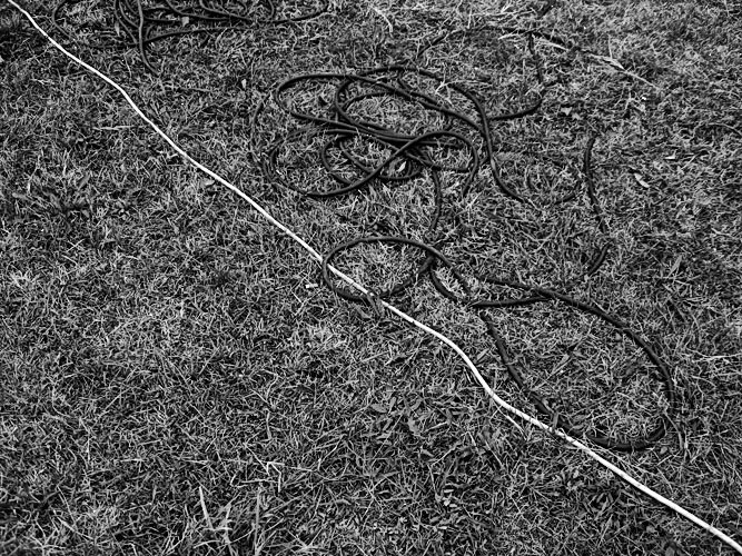 Andu Simion Photography presents LA GAZETTE DE PLOIESTI series - analog and digital photos