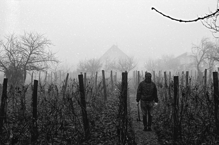 Andu Simion Photography presents RIO DE BLEJOI series - analog and digital photos