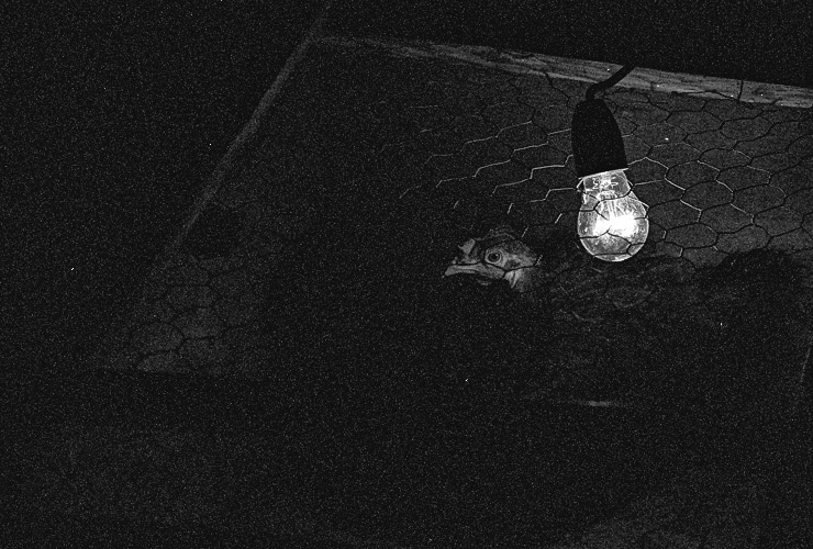 Andu Simion Photography presents RIO DE BLEJOI series - analog and digital photos