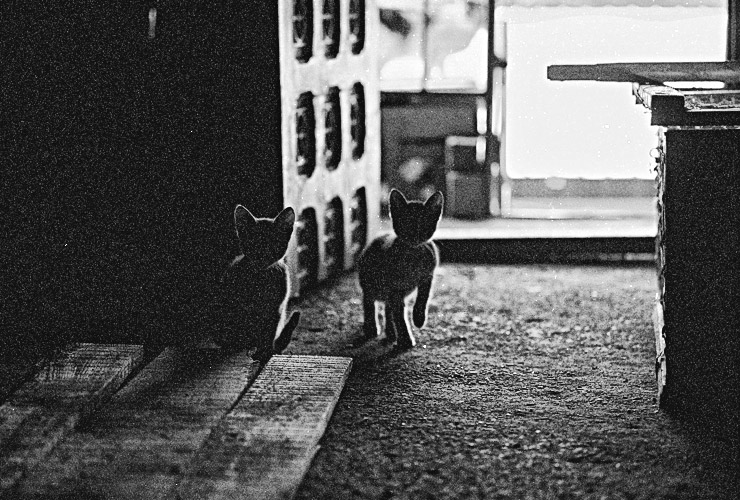 Andu Simion Photography presents RIO DE BLEJOI series - analog and digital photos