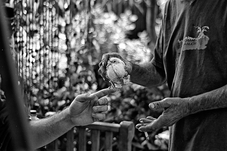 Andu Simion Photography presents RIO DE BLEJOI series - analog and digital photos