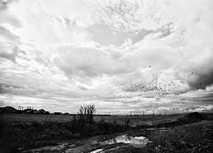 Andu Simion Photography presents ROMANYAN LYFE series - analog and digital photos