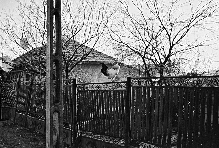 Andu Simion Photography presents ROMANYAN LYFE series - analog and digital photos