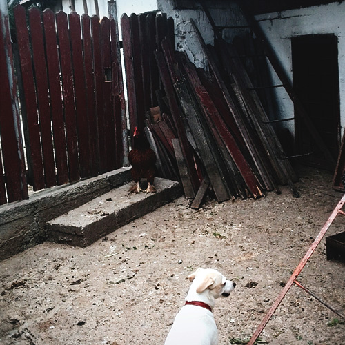 Andu Simion Photography presents SQUARES COLOR series - analog and digital photos